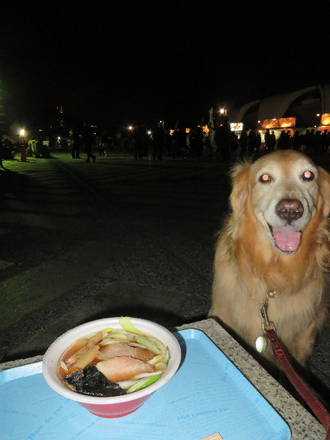 ファイル 3919-1.jpg