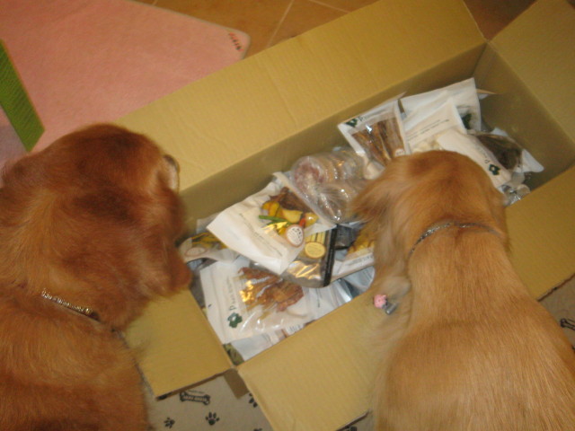 ファイル 392-1.jpg