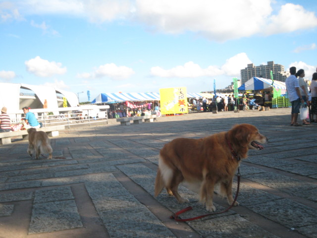 ファイル 392-2.jpg