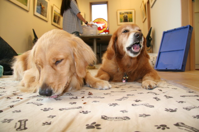 ファイル 392-3.jpg