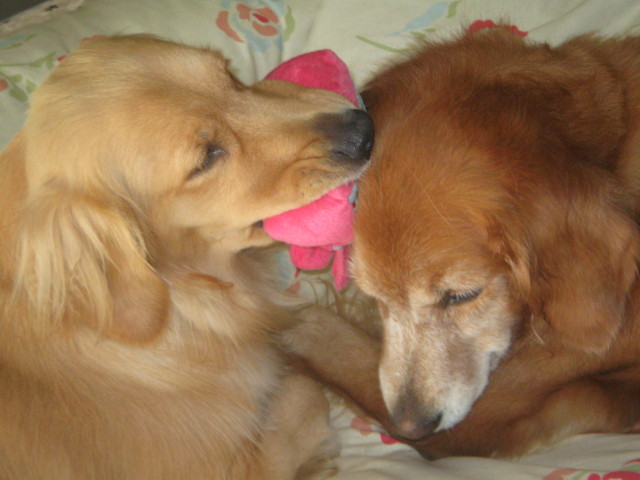 ファイル 392-4.jpg