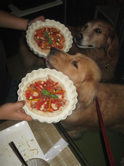 ファイル 392-5.jpg