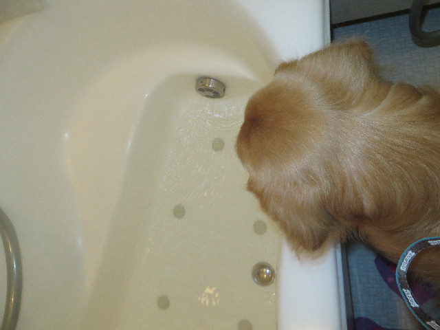 ファイル 3922-2.jpg