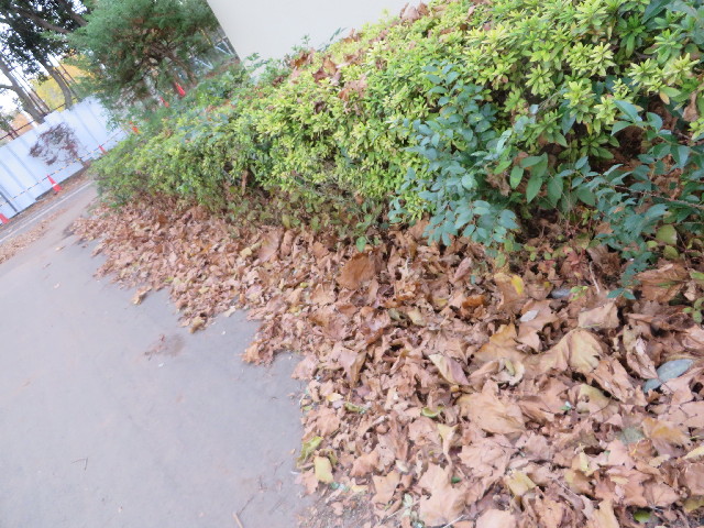 ファイル 3922-4.jpg