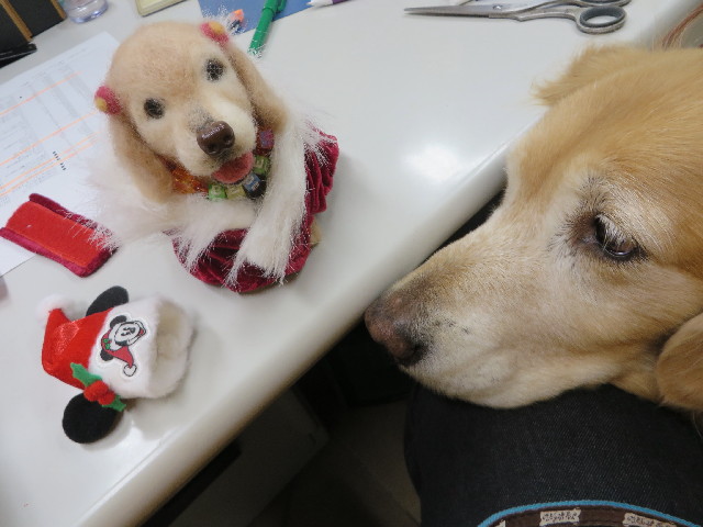 ファイル 3927-2.jpg