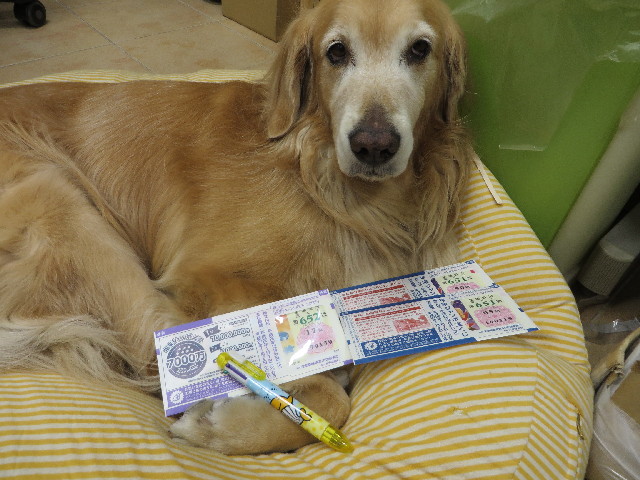 ファイル 3927-4.jpg