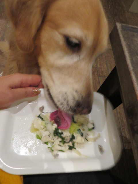 ファイル 3928-4.jpg