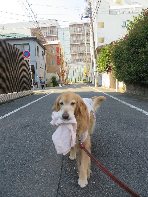 ファイル 3929-1.jpg