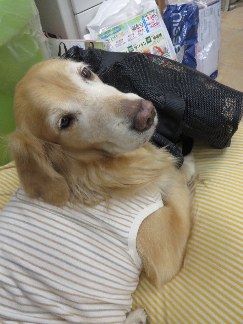 ファイル 3929-5.jpg