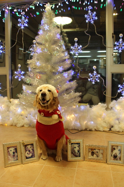 ファイル 3930-4.jpg