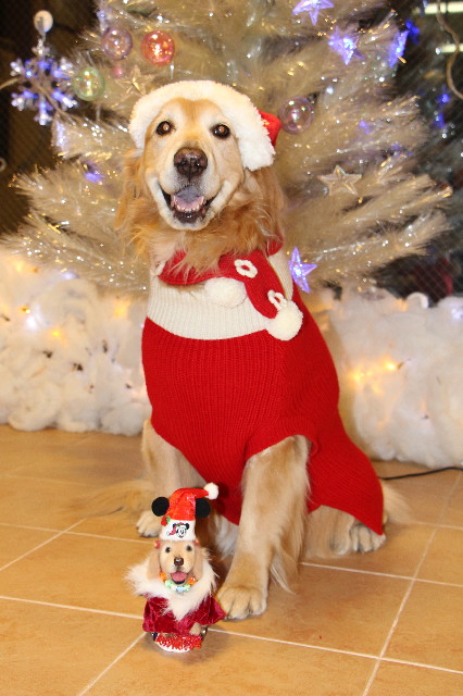 ファイル 3930-5.jpg