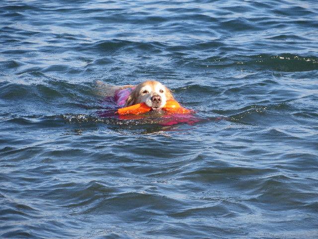 ファイル 3932-3.jpg