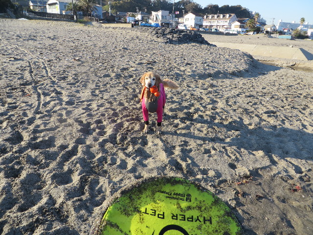 ファイル 3932-4.jpg