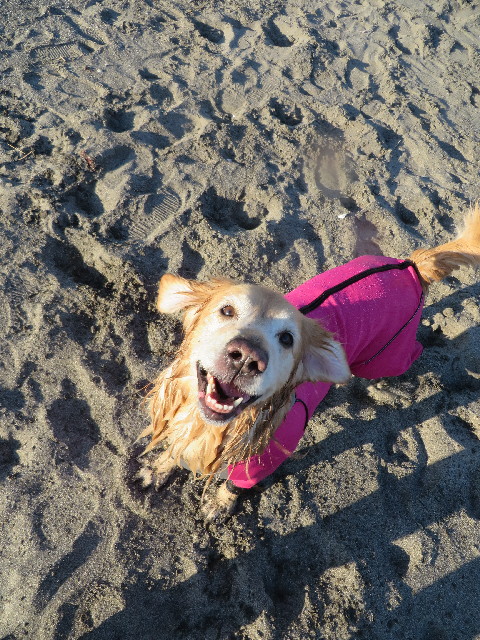 ファイル 3932-5.jpg