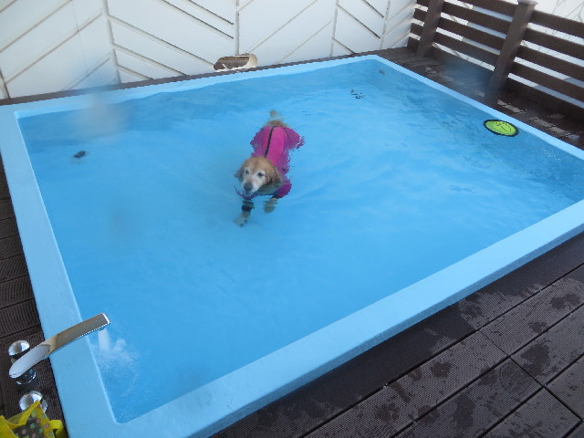 ファイル 3933-2.jpg