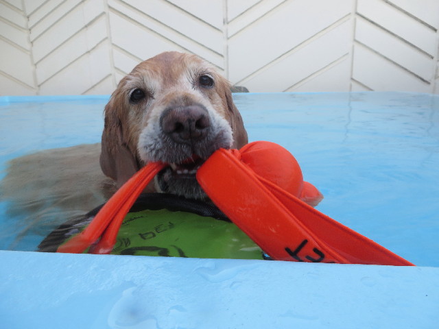 ファイル 3934-1.jpg