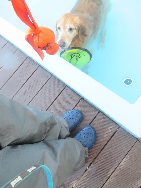 ファイル 3934-2.jpg