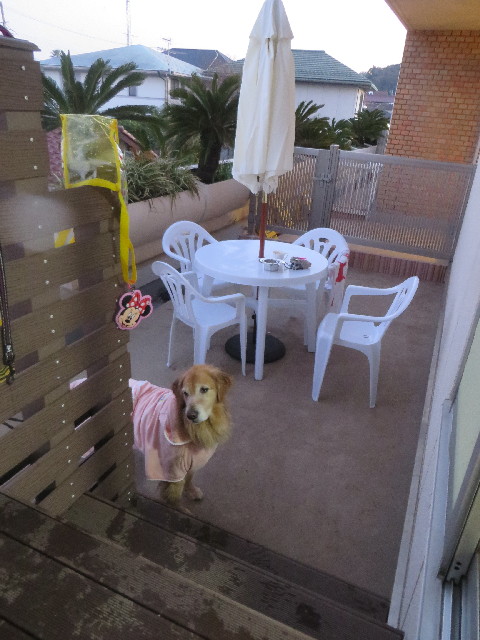 ファイル 3934-3.jpg