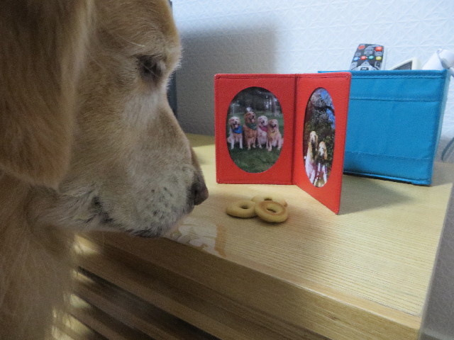 ファイル 3935-5.jpg