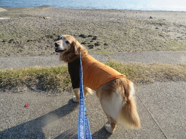 ファイル 3936-1.jpg