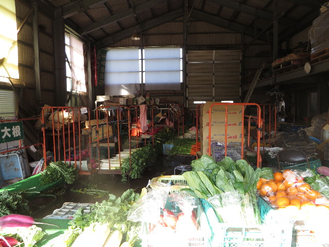 ファイル 3936-5.jpg