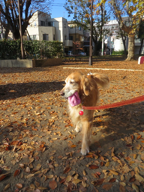 ファイル 3938-2.jpg