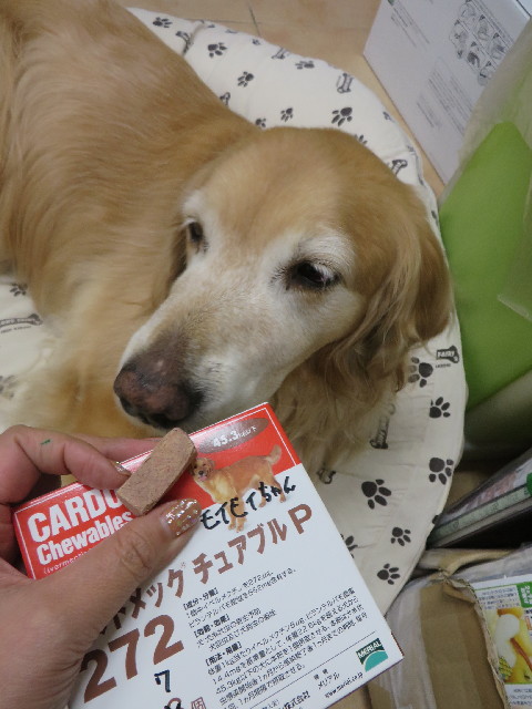 ファイル 3938-5.jpg