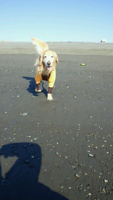 ファイル 3939-1.jpg