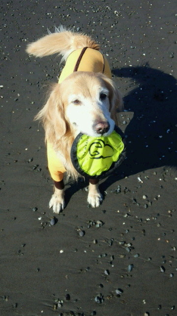 ファイル 3939-4.jpg