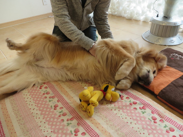 ファイル 3939-5.jpg