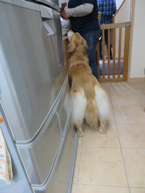 ファイル 3940-1.jpg