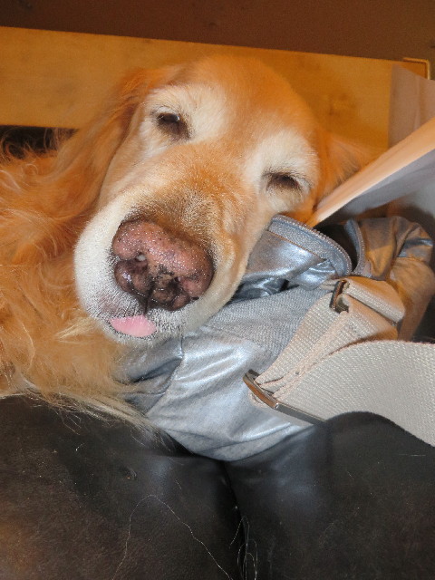 ファイル 3940-4.jpg