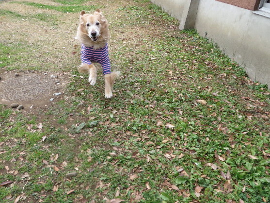 ファイル 3940-5.jpg