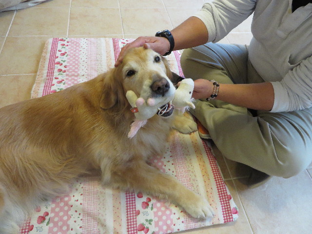 ファイル 3941-3.jpg