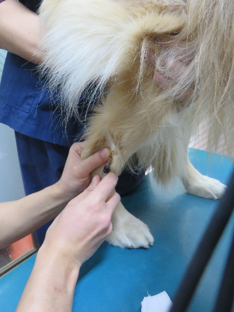 ファイル 3942-1.jpg