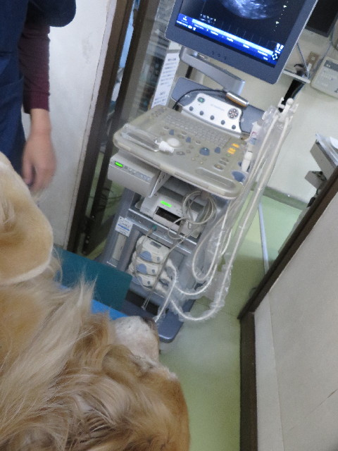 ファイル 3942-2.jpg