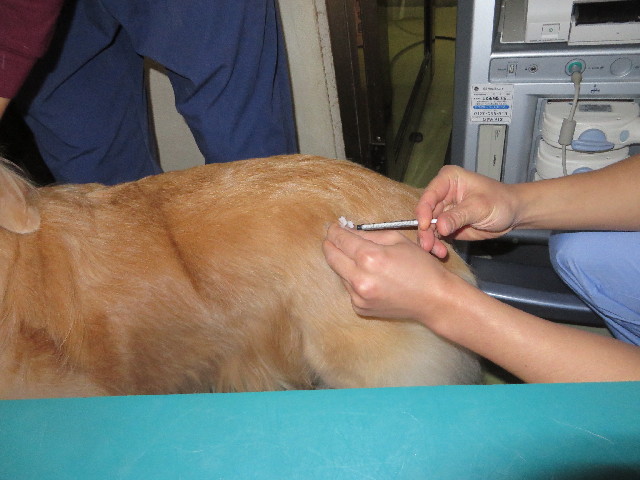 ファイル 3942-3.jpg