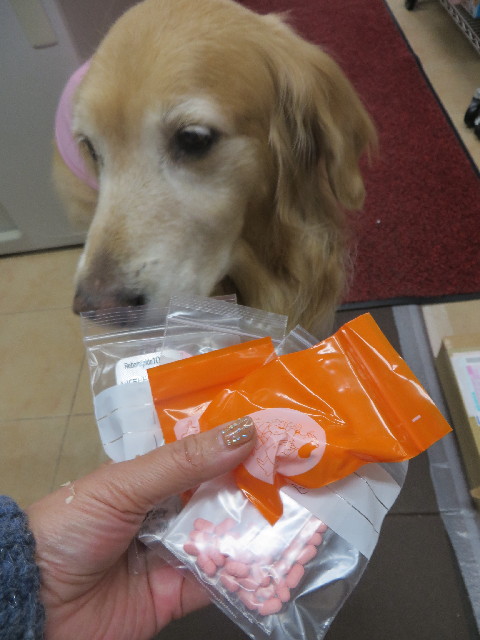 ファイル 3942-4.jpg