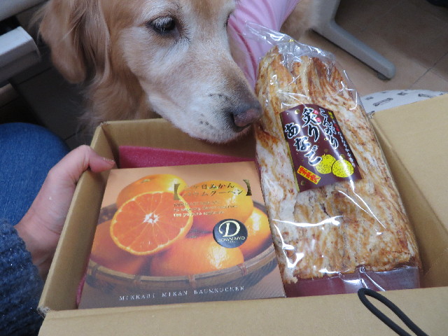 ファイル 3942-5.jpg