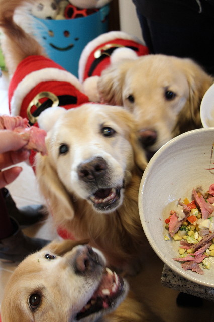 ファイル 3944-2.jpg