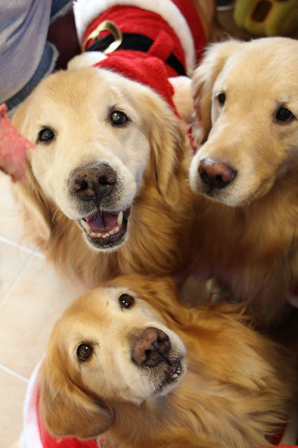 ファイル 3944-3.jpg