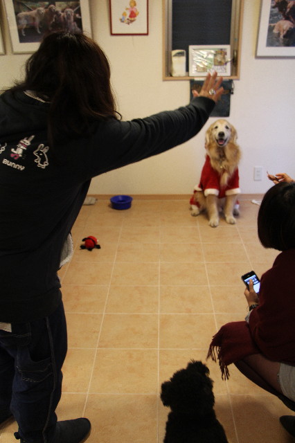 ファイル 3946-1.jpg