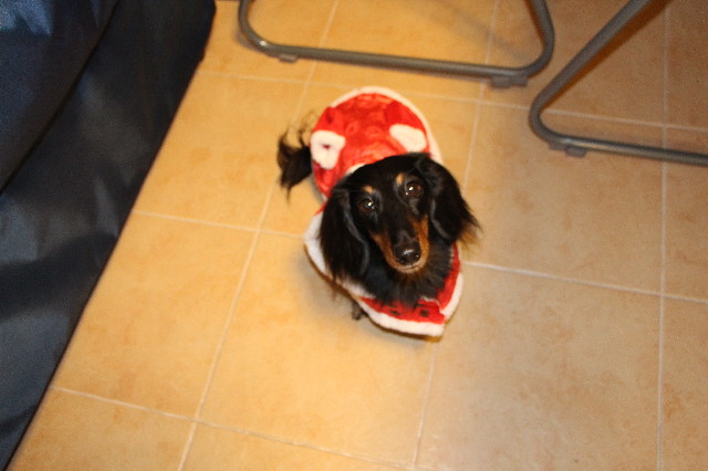 ファイル 3946-3.jpg