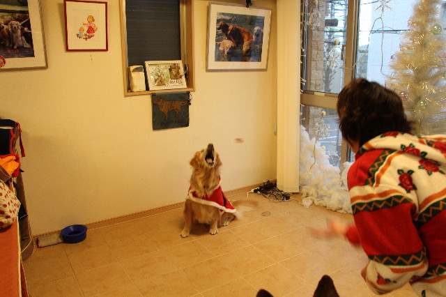 ファイル 3946-4.jpg