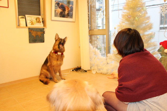 ファイル 3947-1.jpg