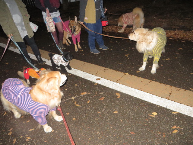 ファイル 3948-1.jpg