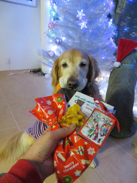 ファイル 3948-3.jpg