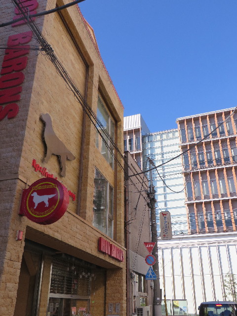 ファイル 3949-1.jpg