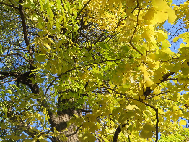 ファイル 3949-2.jpg