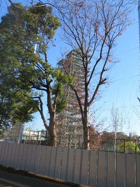 ファイル 3949-3.jpg